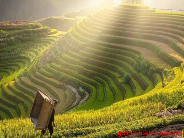 Northwest Vietnam Bike Trip Phu Yen, Mu Cang Chai, Sapa 7 Days